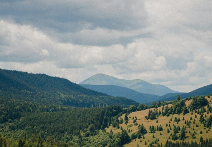 Green forested hills